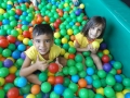 DSCF8688