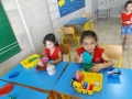 DSCF8820