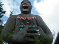 DSCF8026