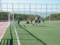 DSCF9049 (2)