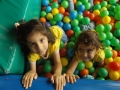 DSCF9203