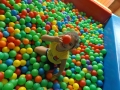 DSCF9275