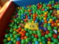 DSCF9278