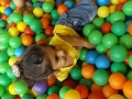 DSCF9279