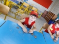 DSCF9337