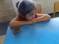 DSCF9343