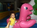DSCF9451