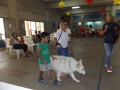 DSCF9554