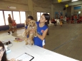 DSCF9561