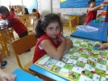 DSCF9619