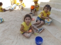 DSCF9656