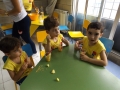 DSCF9911