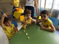 DSCF9915