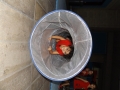 DSCF9962