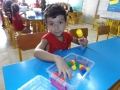 DSCF0176