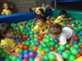 DSCF0450