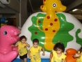 DSCF0466