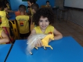 DSCF0565