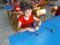 DSCF0582