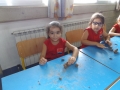 DSCF0586