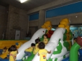 DSCF0655