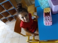 DSCF0672
