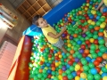 DSCF0681