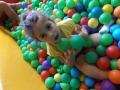 DSCF0985