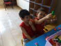 DSCF1134
