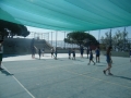 DSCF7010