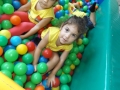DSCF8470