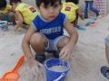 DSCF8494