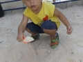 DSCF8495