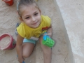DSCF8507