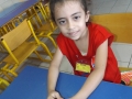DSCF8539