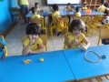 DSCF8558
