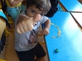 DSCF8563