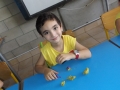 DSCF8570