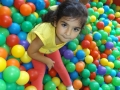DSCF8584