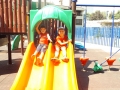 DSCF6253