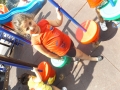 DSCF1538