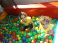 DSCF1759