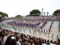 OASIS-MLS--0108