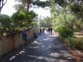 IMG-37