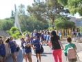 IMG-39