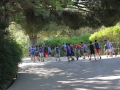 IMG-40