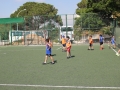 IMG-61