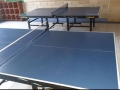 PJSV9193