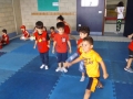 DSCF2446