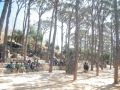 DSCF0015